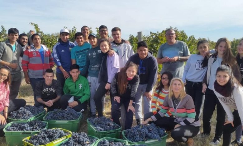 Estudiantes de 25 de Mayo producen su propio vino