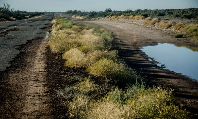 La Ruta Nacional 143, un camino olvidado e intransitable