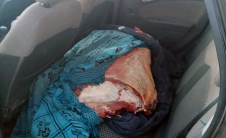 Nuevo decomiso: llevaba cerca de 300 kilos de carne tapados con una frazada
