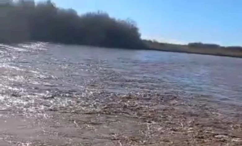 Municipio de 25 de Mayo descarta alertas por la creciente del Rio Colorado