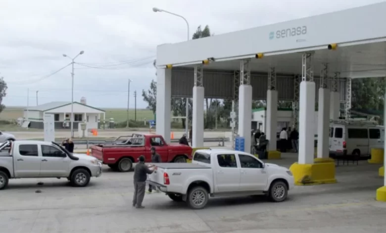 En Río Negro temen que Senasa corra la barrera