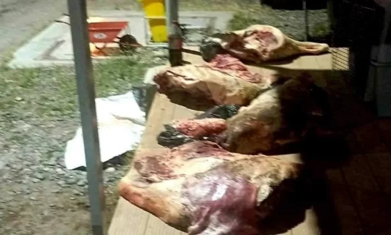 Decomisan 230 kilos de carne vacuna con hueso