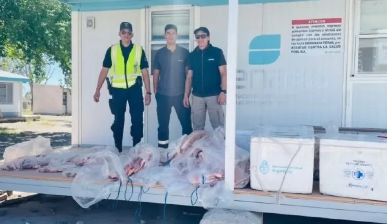 Decomisan más de 500 kilos de carne en Casa de Piedra