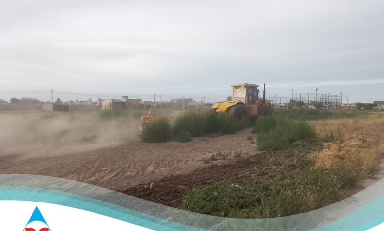 Operativo de limpieza de terrenos baldíos llevado a cabo por Defensa Civil de 25 de Mayo