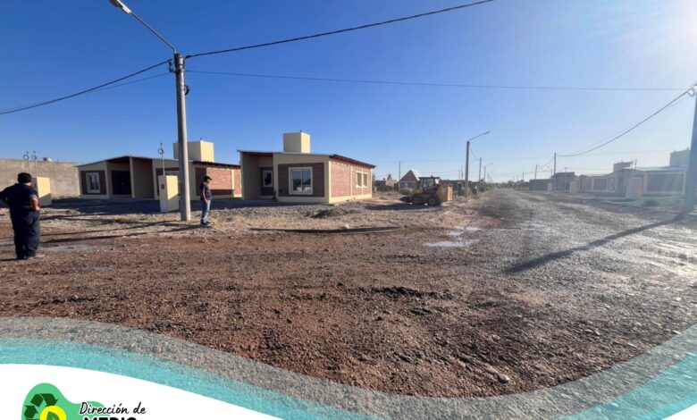 La Dirección de Ambiente en la «puesta a punto» de las viviendas «Plan Mi Casa»