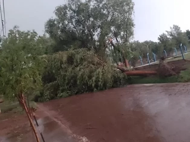 La tormenta en Victorica provocó la voladura de techos y daños