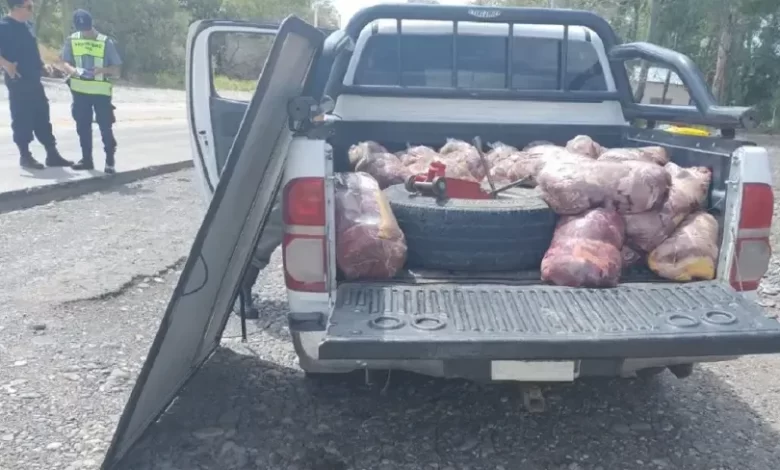 Evadió un control y lo atraparon con más de 400 kilos de carne de caballo