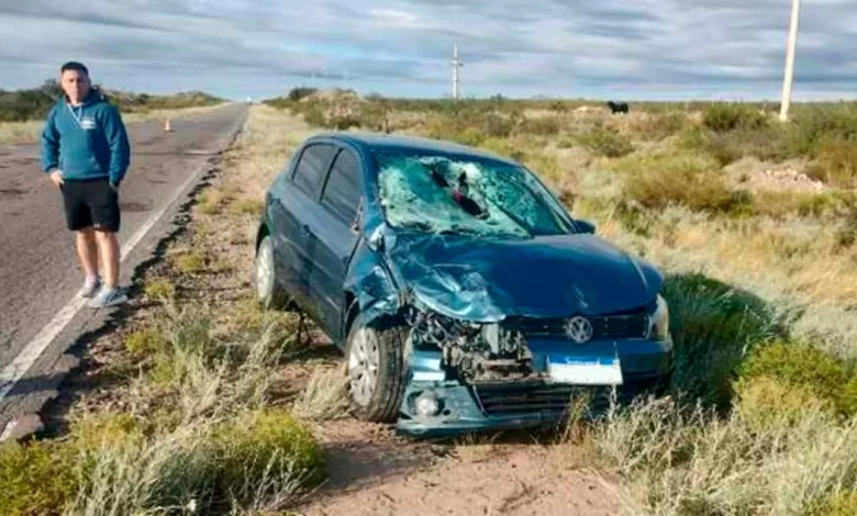 Un auto embistió un vacuno en la ruta 151