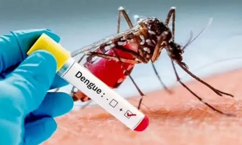 La Pampa registra 300 casos de dengue