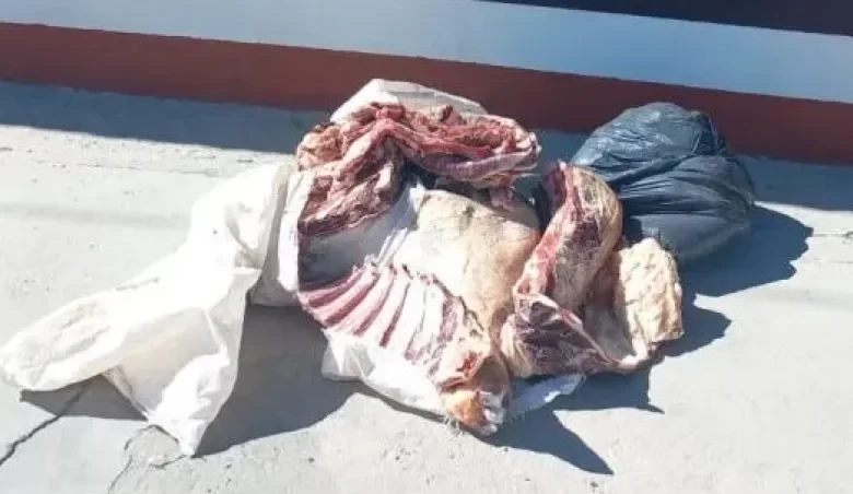 Secuestran más carne clandestina llevada de La Pampa a Río Negro