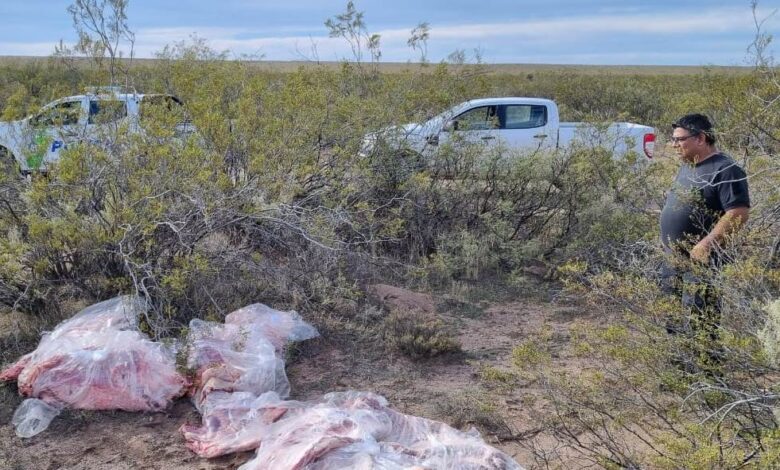 Puente Dique: pasaban carne por el río y los descubrieron