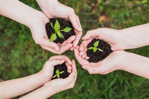25 de Mayo*Actividades por el Día del Medio Ambiente