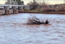 El río Colorado viene con más agua y alertan por una posible crecida