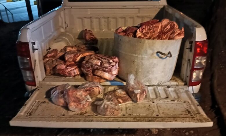 Catriel: decomisan casi 500 kilos de carne y chacinados