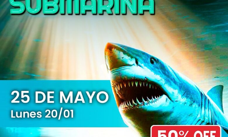 Verano en 25 de Mayo-El Planetario Móvil arribará en estas vacaciones