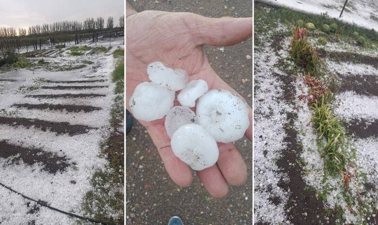 Piedra y Granizo arruinaron la cosecha en el sur de Mendoza