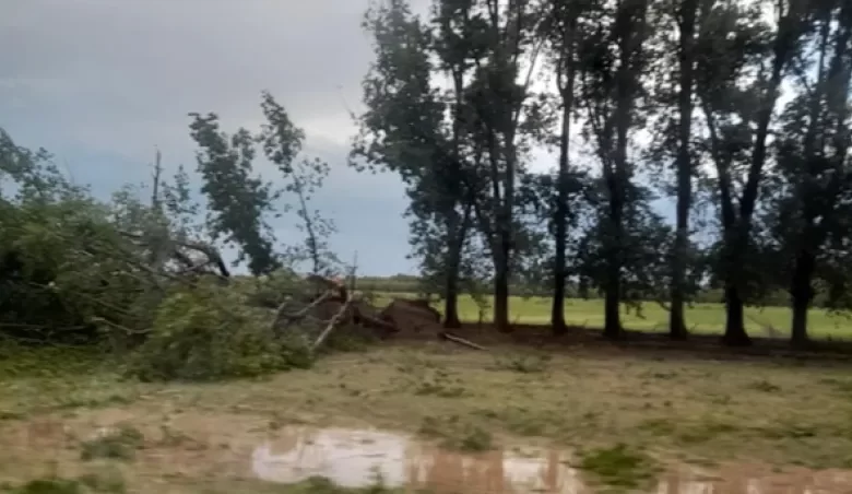 Temporal de viento, lluvia y granizo afectó a 25 de Mayo y Puelén