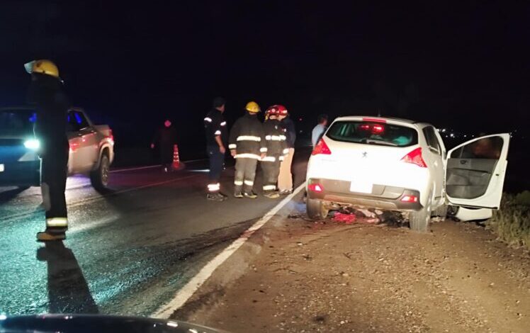 Ruta 151: chocaron un caballo. No hay personas heridas