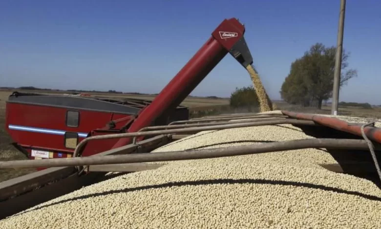 La Pampa superó los U$S 1.000 millones enexportaciones y creció por encima de la media