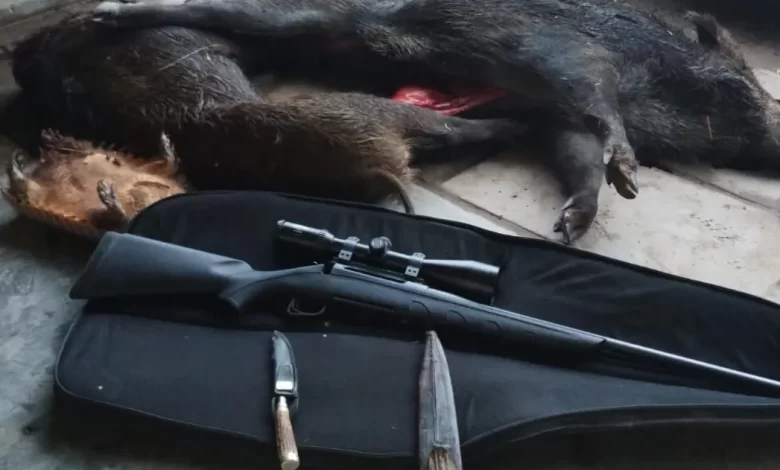 La Provincia aplicó multas millonarias por infracciones a la Ley de Fauna