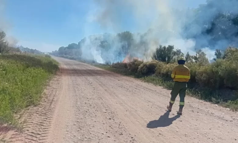 Dos demorados por un incendio que afectó 200 hectáreas en 25 de Mayo
