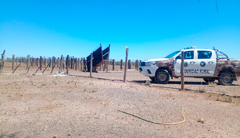 Abigeato en Algarrobo del Águila: tres detenidos con prisión preventiva