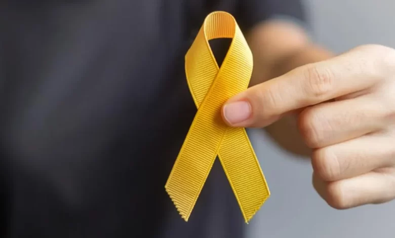 La Pampa reglamentó la ley de prevención del suicidio