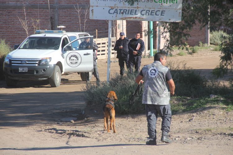 vallejos1-canes